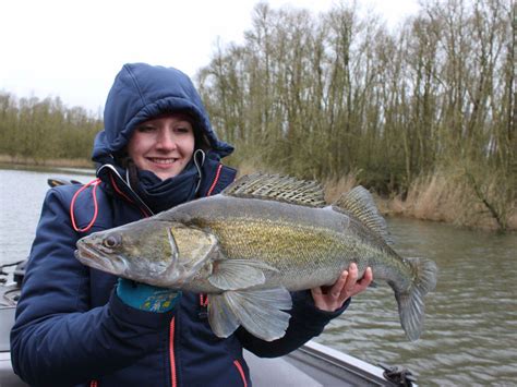big fish nederlands.